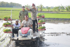 Stok Beras RI Tembus 28 Juta Ton, Wamentan Sudaryono Kebut Tanam 750 Hektar Padi di Lamongan Hadapi El Nino