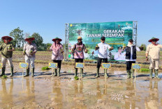 Genjot Produksi Pangan, Kementan Gelar Tanam Serentak di 26 Provinsi