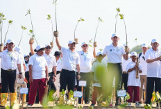 AHY dan Ahmad Luthfi Tanam Mangrove di Demak, Gunakan HexBricks untuk Atasi Abrasi Pantura