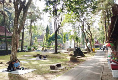 Bersolek pada 2026, Taman Kyai Langgeng Magelang Siapkan Taman Kincir Belanda