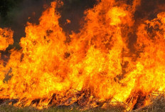 Damkar Kota Magelang Himbau Pencegahan Kebakaran Rumah, Mulai dari Hal Ini!