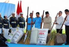 Presiden Prabowo Umumkan Swasembada Pangan, Indonesia Ulang Sejarah Kejayaan