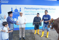 Hari Raya Idul Adha, BRI Group Distribusikan lebih dari 5000 Hewan Kurban di Berbagai Daerah di Indonesia