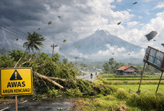 Angin Kencang Terjang Magelang Raya, Cuaca Cerah Dampak Siklon Luana Terasa