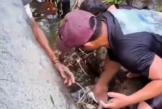 Nekat Mabukkan Ikan, Enam Warga Wonosobo Wajib Tebar 15 Ribu Benih