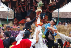 Grebeg Palawija Hingga Pentas Seni, Tradisi Nyadran di Kampung Dumpoh Kota Magelang