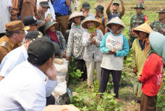 Mentan Amran Siapkan Aturan Baru agar Buruh Tani Bisa Dapat Alsintan