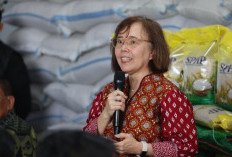 IRRI Puji Swasembada Pangan Indonesia, Sebut Fondasi Pertanian Modern Mulai Terbangun