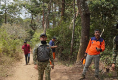 Dandim Temanggung Tinjau Kebakaran Gunung Sumbing, Pastikan Kebutuhan Relawan Terpenuhi