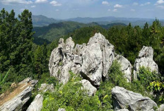 Karang Gemantung Stone Park Banjarnegara Kembali Viral, Pancarkan Pesona Alam Luar Biasa