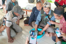 Tinggalkan Pupuk Kimia, Petani di Magelang Beralih Gunakan Biosaka dari Rumput Liar