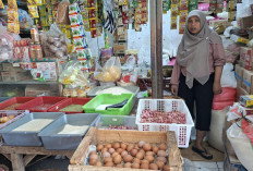 Harga Beras di Pasar Kota Magelang Naik Akibat Kemarau, Cadangan Bulog Aman 4 Bulan