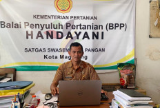 Bantuan P2B Kementan Rp 12,5 Juta Cair, 9 Kelompok Tani Kota Magelang Wajib Belanja Mandiri
