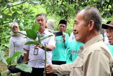Bupati Kepahiang Belajar Budidaya Kopi ke Temanggung, Tertarik Terapkan Sistem Petik Merah