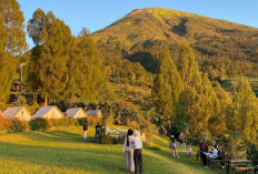 Pembangunan Temanggung 2027 Fokus Pertanian dan Pariwisata, Infrastruktur Jadi Pengungkit Ekonomi