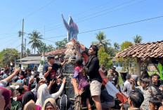 Bukan Sayur, Ratusan Warga Rebutan Gunungan Ikan Koi di Kirab Budaya Desa Ngrajek Magelang