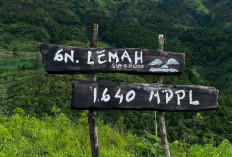 Gunung Lemah, Destinasi Wisata Baru Wonosobo yang Sebentar Lagi Dibuka