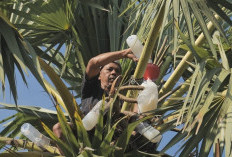  Desa Hendrosari Bangkit: Pembeli Datang, UMKM Tumbuh, Ekonomi Melaju Berkat Pemberdayaan Desa BRILian