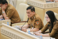 Pertahankan Lahan Sawah, Luthfi Desak Pusat Beri Insentif dan Pangkas Izin Industri