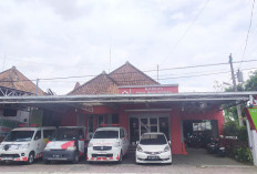 Awal Tahun 2026, Stok Darah PMI Kota Magelang Aman