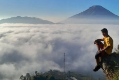 3 Juta Wisatawan Serbu Wisata Wonosobo di 2025, Berikut Destinasi yang Paling Banyak Dikunjungi