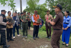 HPN 2026, Wartawan Temanggung Tanam 1.000 Pohon di Lereng Sindoro-Sumbing