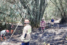 Dua Kebakaran Terjadi di Secang Magelang, Lagi-lagi Dipicu Warga Bakar Sampah