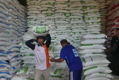 Pemkab Temanggung Dapat Alokasi 23.881 Ton Pupuk Bersubsidi 2026, Ini Rinciannya dan HET Terbaru