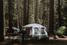 Isi Liburan Akhir Tahun dengan Camping and Fun Edisi Curug Mangku Wonosobo, dari Bakar Sate hingga Bernyanyi