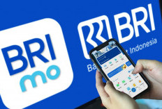 Kian Diminati, Pengguna BRImo Capai 45,9 Juta User dengan Transaksi Tembus Rp7.057 Triliun Sepanjang 2025
