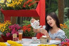Pine Place Jadi Kafe Baru Temanggung, Tampilkan Kebun Bunga yang Indah