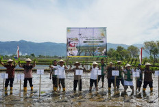 Polbangtan Kementan Perkuat Kolaborasi Tanam Serempak di Aceh Barat Daya