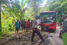 Kecelakaan Beruntun di Jalur Purworejo–Magelang, 1 Tewas usai Motor Rem Mendadak Hindari Kucing