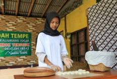 Momentum Hari UMKM Nasional, BRI Peduli Dorong Penguatan UMKM melalui Pendampingan Berkelanjutan di Desa Brili