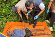 Pencarian Lansia Hilang Tiga Hari di Wonosobo Berakhir Tragis