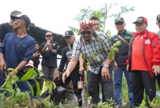 Ratusan Relawan Tanam Pohon di Lereng Gunung Sindoro, Upaya Cegah Bencana dan Peduli Korban Bencana Sumatera