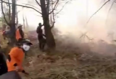 BPBD Temanggung Terjunkan Tim Gabungan Lewat Empat Jalur untuk Padamkan Kebakaran Gunung Sumbing