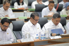 Komisi IV DPR RI Puji Ketegasan Mentan Amran: Harga TBS Sawit, Telur, dan Ayam Mulai Naik