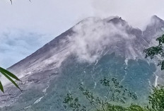 Dua Pendaki Ilegal Hilang di Gunung Merapi, Tim TNGM Terus Gencarkan Pencarian
