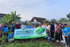 Karyawan BPJS Ketenagakerjaan Magelang Patungan Hijaukan Kelurahan Kedungsari