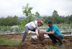 Gerakan SAPA Ansor Temanggung Dimulai, Tanam Pohon dan Tebar Benih Ikan di 20 Kecamatan