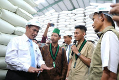 Mentan Amran Bersama Mahasiswa, Guru Besar, dan Pakar Pertanian Tinjau Gudang Bulog Jawa Timur
