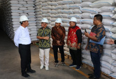 Mentan Amran Pastikan Stok Beras Nasional Aman, Gudang Bulog Penuh, Stok 5,3 Juta Ton