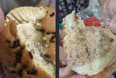 Viral! SPPG Giyanti Temanggung Diinvestigasi, Diduga Beri Makanan Tak Layak ke Siswa MBG