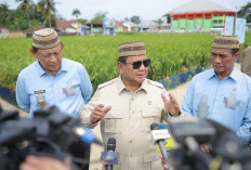 Presiden Prabowo: Petani dan Nelayan Tulang Punggung Republik, Swasembada Pangan Harus Dijaga Seterusnya