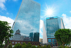 Momentum Earth Hour, BRI Dorong Keberlanjutan Melalui Aksi Nyata di Lingkungan Kerja