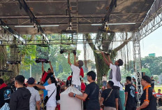 Ratusan Kicau Mania Serbu Magelang, Rebutkan Motor Baru di HUT ke-80 Bhayangkara