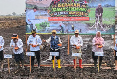 Kementan Percepat Tanam CSR 2026, Pastikan Lahan Segera Produktif
