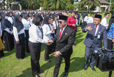 Pemkot Magelang Siapkan Strategi, Pastikan Tidak Ada Pemberhentian Tenaga Honorer