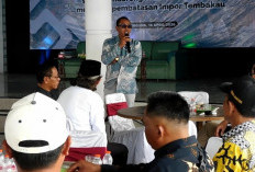 Petani Tembakau Temanggung Desak Pemerintah Batasi Impor, Panen Lokal Terancam
